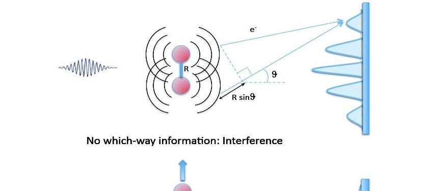 Einstein-Böhr “gedanken” Experiment Made Real at Last