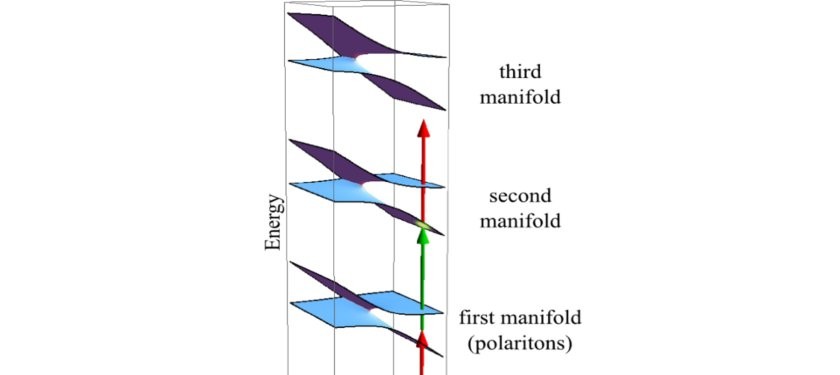 Coherent Generation of Nonclassical Light on Chip via Detuned Photon Blockade