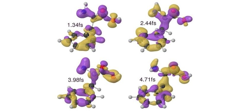Ultrafast Electron Dynamics in a Biomolecule Initiated by Attosecond Pulses