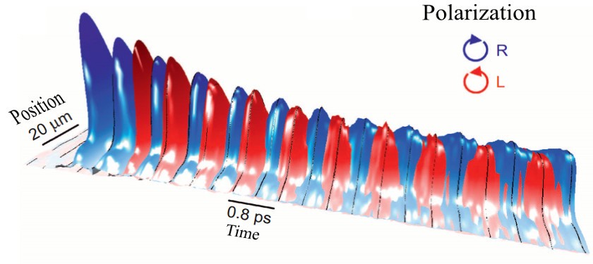 Polarization Shaping of Poincaré Beams by Polariton Oscillations
