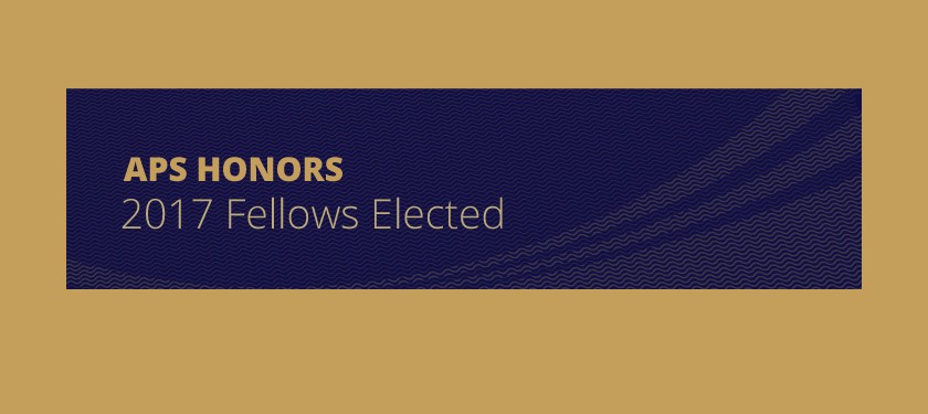 APS Honors Fellows 2017