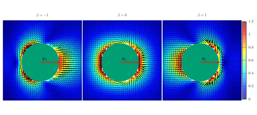 Computational Study of the Collective Motion of Micro-swimmers