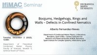 Boojums, Hedgehogs, Rings and Walls – Defects in Confined Nematics