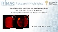Membrane-Mediated Force Transduction Drives Stick-Slip Motion of Lipid Vesicles
