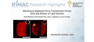 Membrane-Mediated Force Transduction Drives Stick-Slip Motion of Lipid Vesicles - Featured