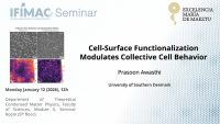 Cell-Surface Functionalization Modulates Collective Cell Behavior