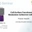 Cell-Surface Functionalization Modulates Collective Cell Behavior