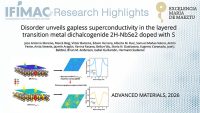 Disorder Unveils Gapless Superconductivity in the Layered Transition Metal Dichalcogenide 2H-NbSe2 Doped with S
