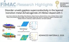 Disorder Unveils Gapless Superconductivity in the Layered Transition Metal Dichalcogenide 2H-NbSe2 Doped with S