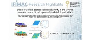 Disorder Unveils Gapless Superconductivity in the Layered Transition Metal Dichalcogenide 2H-NbSe2 Doped with S - Featured