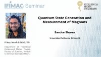 Quantum State Generation and Measurement of Magnons