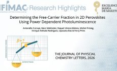 Determining the Free-Carrier Fraction in 2D Perovskites Using Power Dependent Photoluminescence
