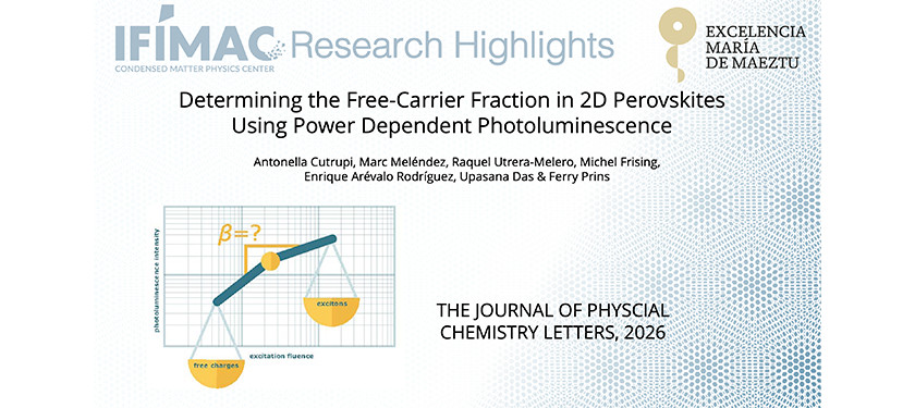 Determining the Free-Carrier Fraction in 2D Perovskites Using Power Dependent Photoluminescence