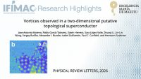 Vortices Observed in a Two-Dimensional Putative Topological Superconductor