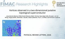 Vortices Observed in a Two-Dimensional Putative Topological Superconductor