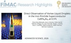 Direct Observation of Vortex Liquid Droplets in the Iron Pnictide Superconductor CaKFe4As4 at 0.5Tc