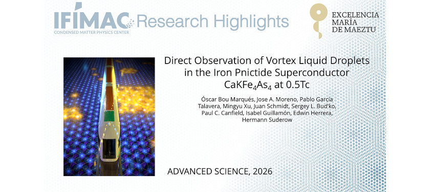 Direct Observation of Vortex Liquid Droplets in the Iron Pnictide Superconductor CaKFe4As4 at 0.5Tc