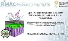 Article in Advanced Functional Materials: “Spin Injection Of Exciton-Polaritons With Halide Perovskites At Room Temperature”