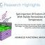 Article in Advanced Functional Materials: “Spin Injection Of Exciton-Polaritons With Halide Perovskites At Room Temperature”