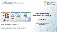 Low-Dimensional Materials for Sensing