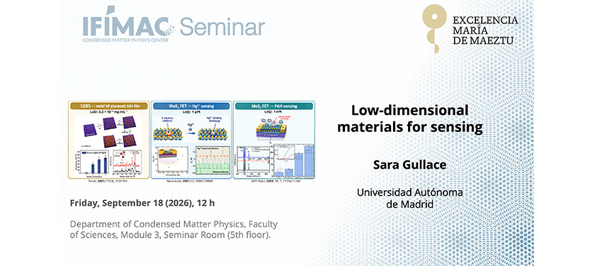 Low-Dimensional Materials for Sensing