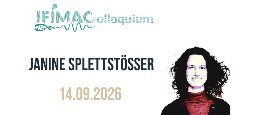 Janine Splettstösser: What Constrains the Precision of a Quantum Heat Engine?